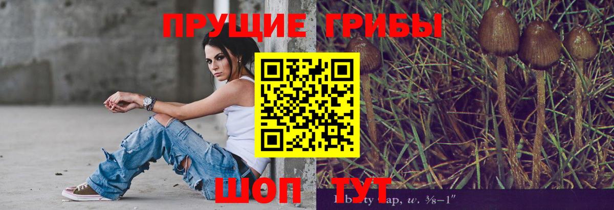 Псилоцибиновые грибы мицелий  Вход с VPN  Слободской 
